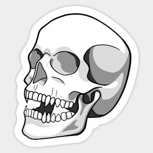 Skull Sticker Sticker